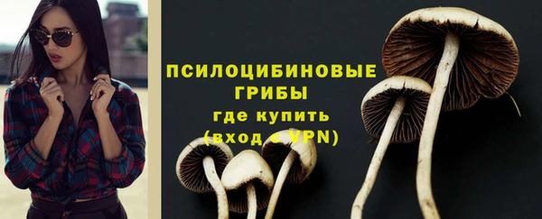 таблы Козельск