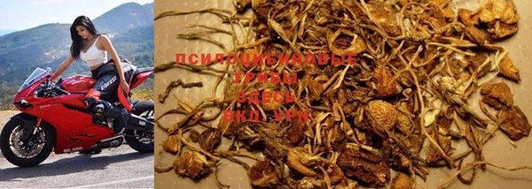 а пвп мука Кодинск