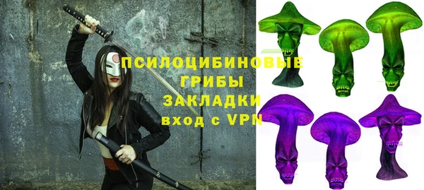 таблы Козельск