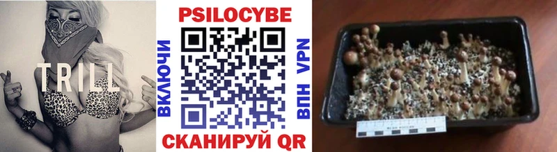 Галлюциногенные грибы Psilocybine cubensis  МЕГА зеркало  Медынь  цена наркотик 